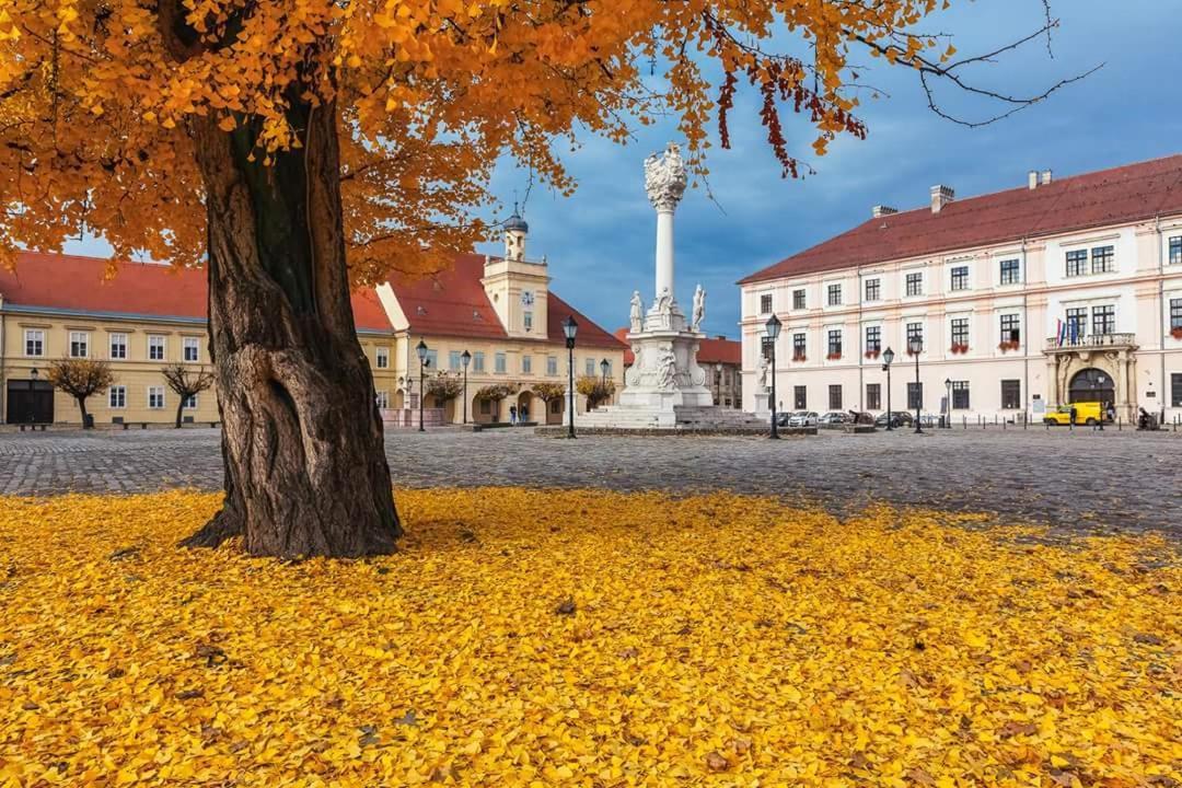 Apartman Aurelius - Private Parking Osijek Eksteriør bilde