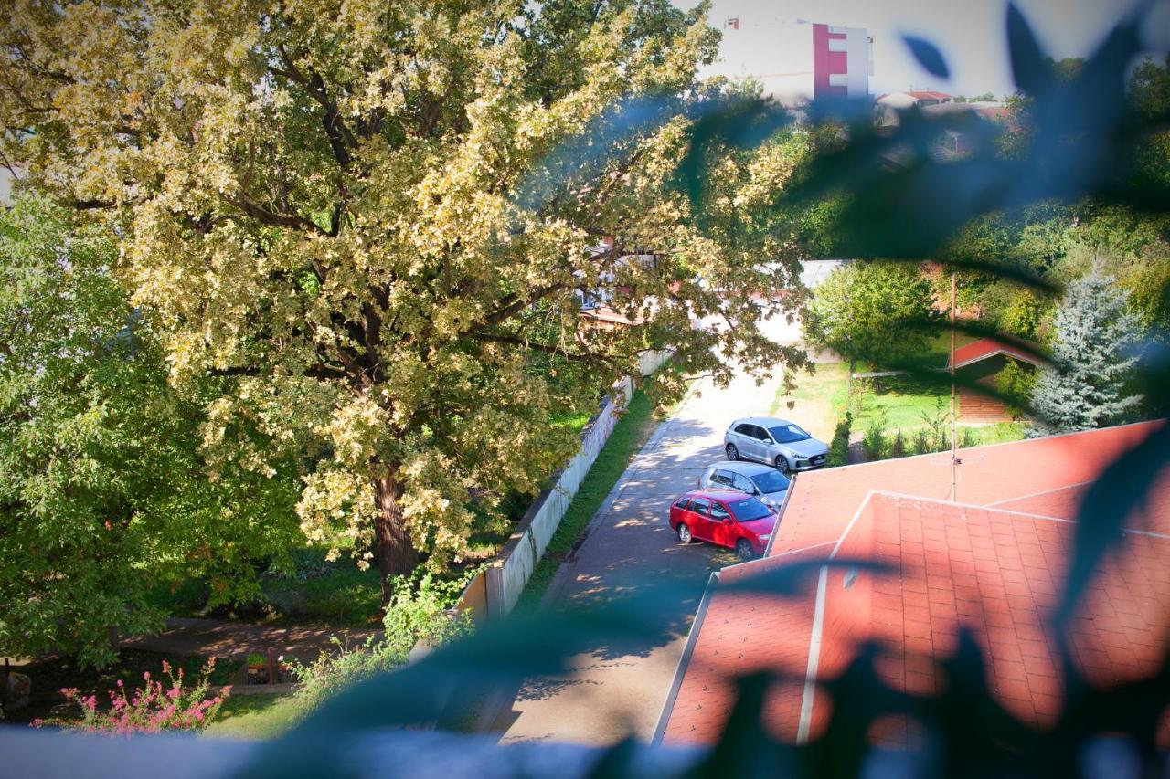 Apartman Aurelius - Private Parking Osijek Eksteriør bilde