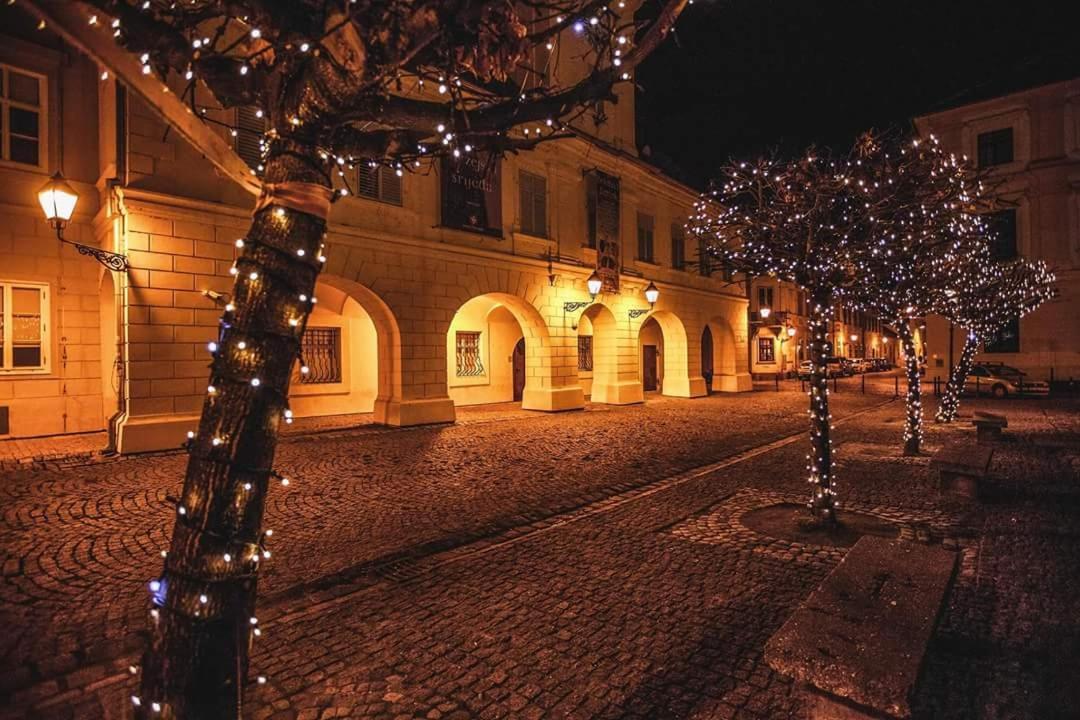 Apartman Aurelius - Private Parking Osijek Eksteriør bilde